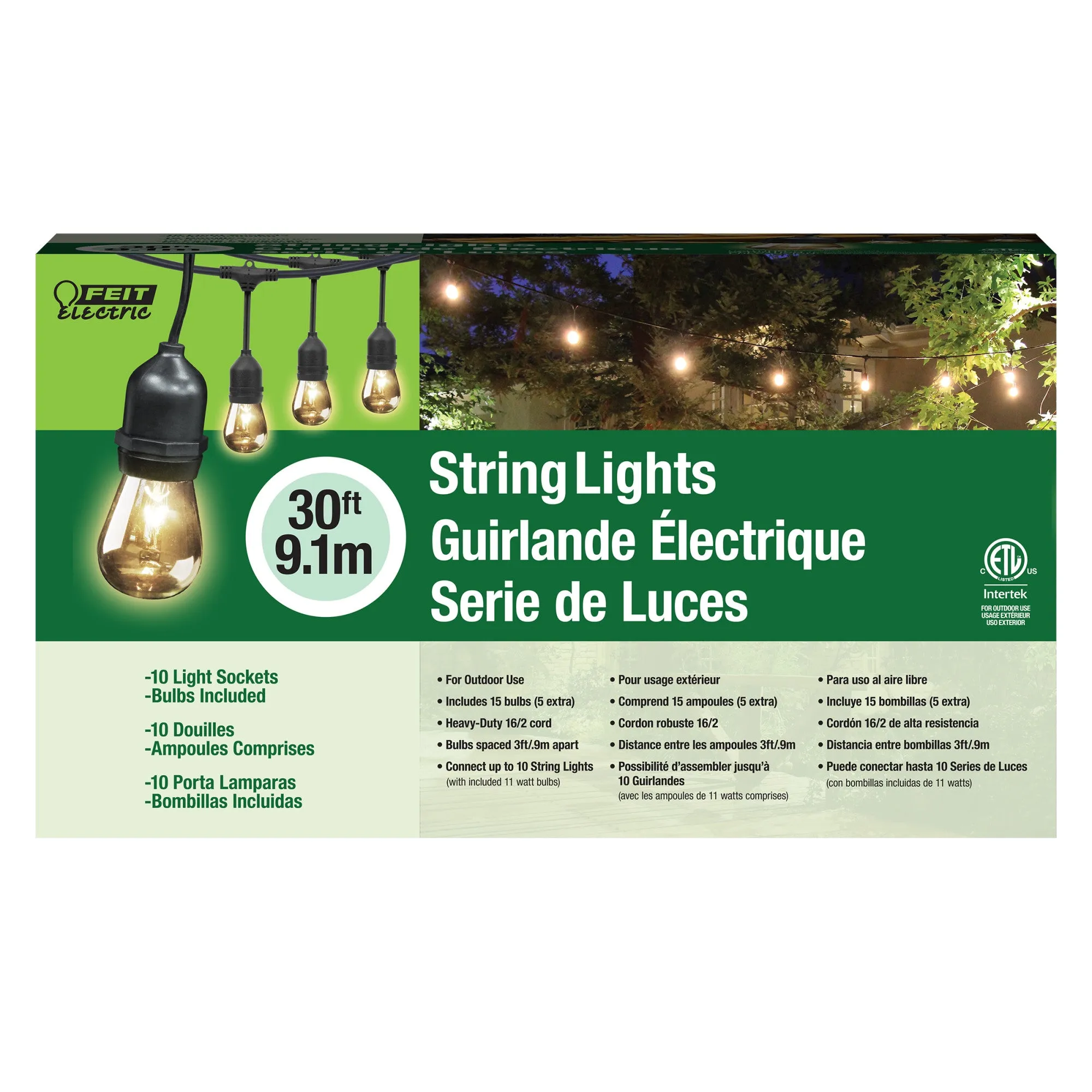 30 ft. Incandescent String Lights