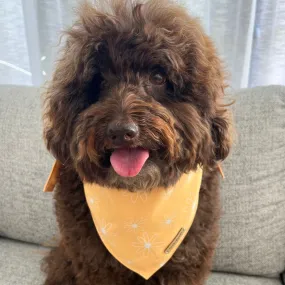 DAISY BANDANA