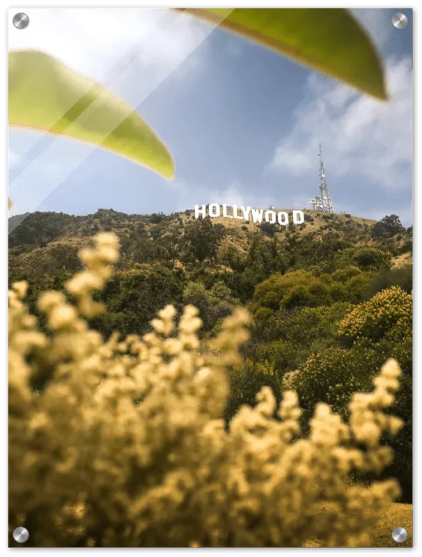 Hollywood - Print