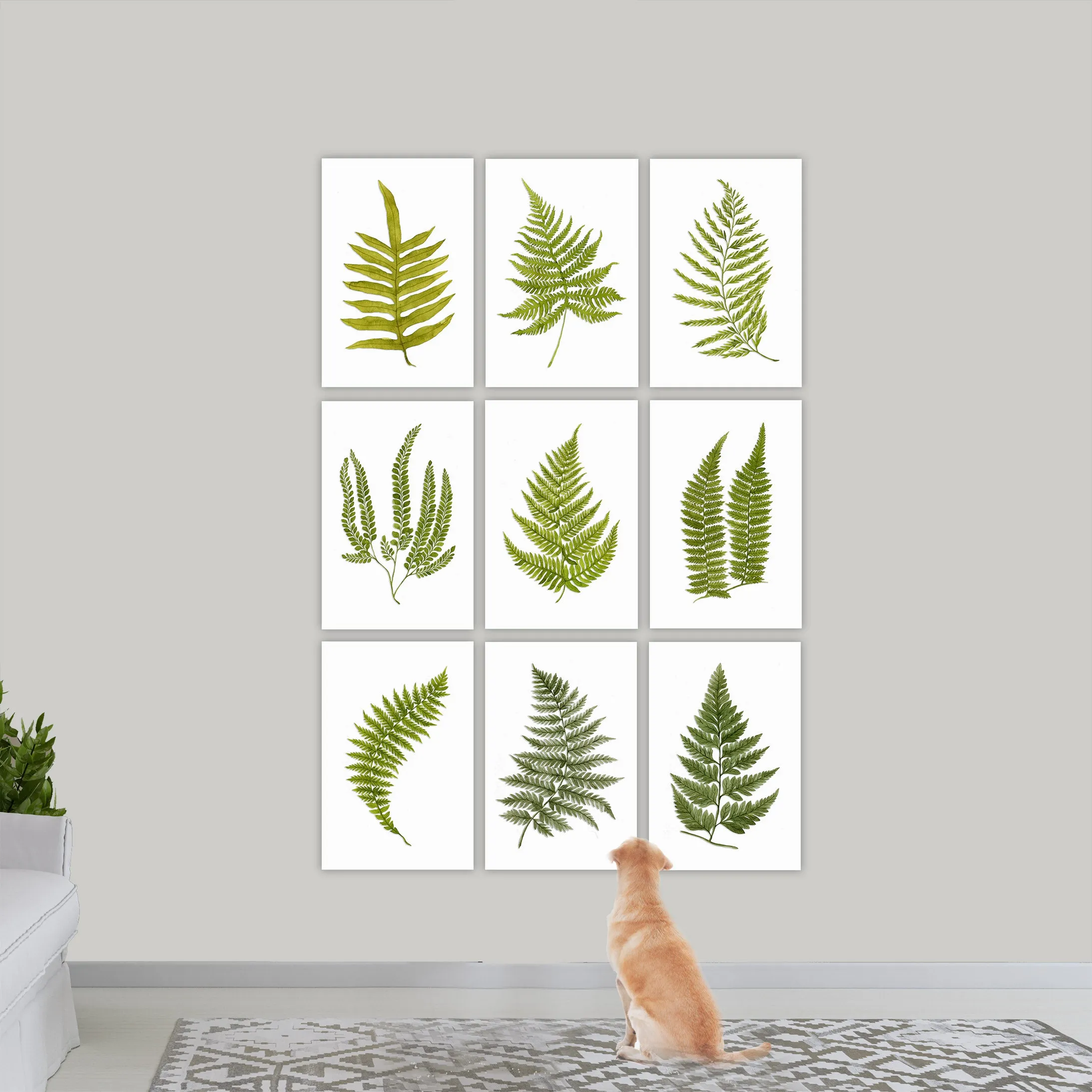 Large Botanical Fern Art on Canvas