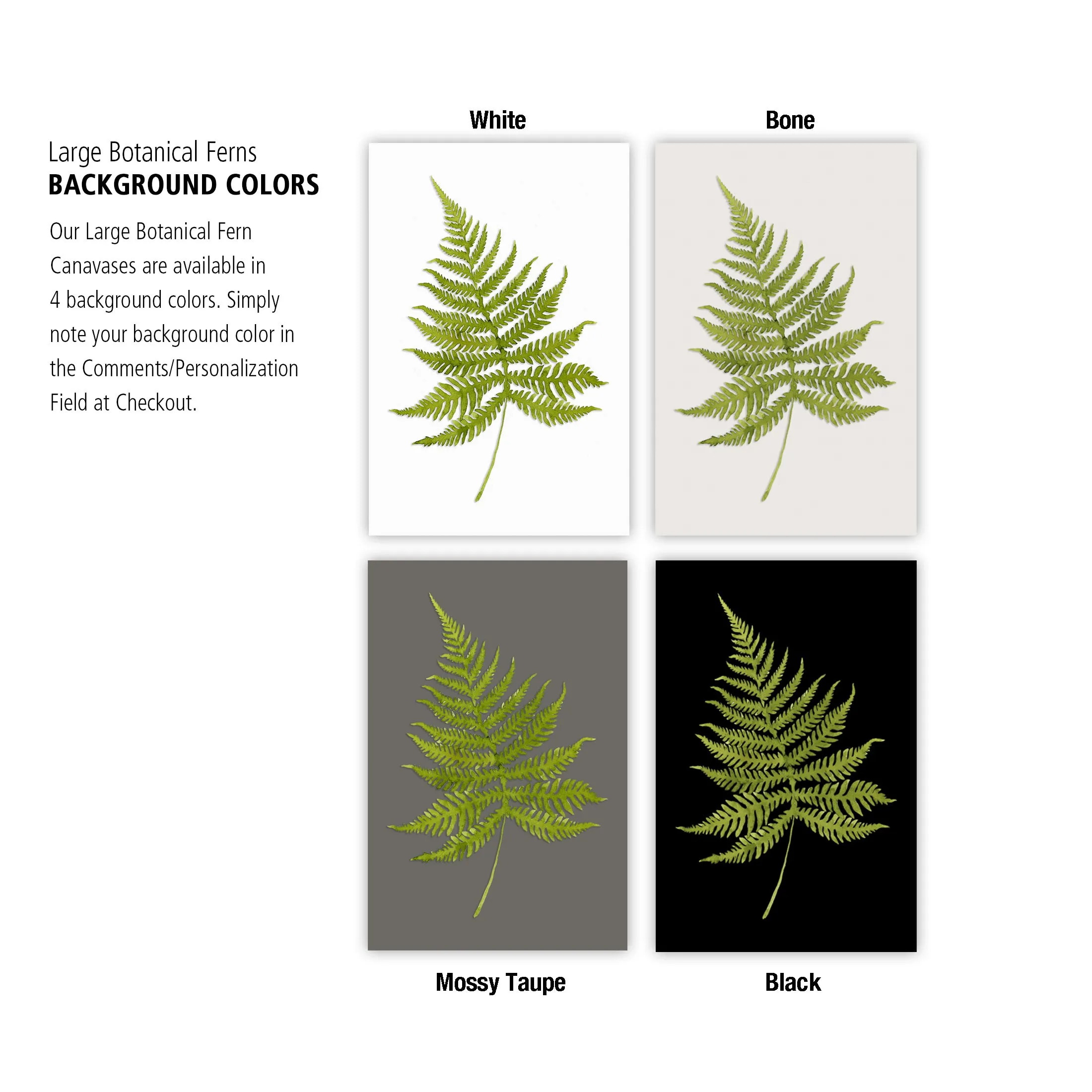 Large Botanical Fern Art on Canvas