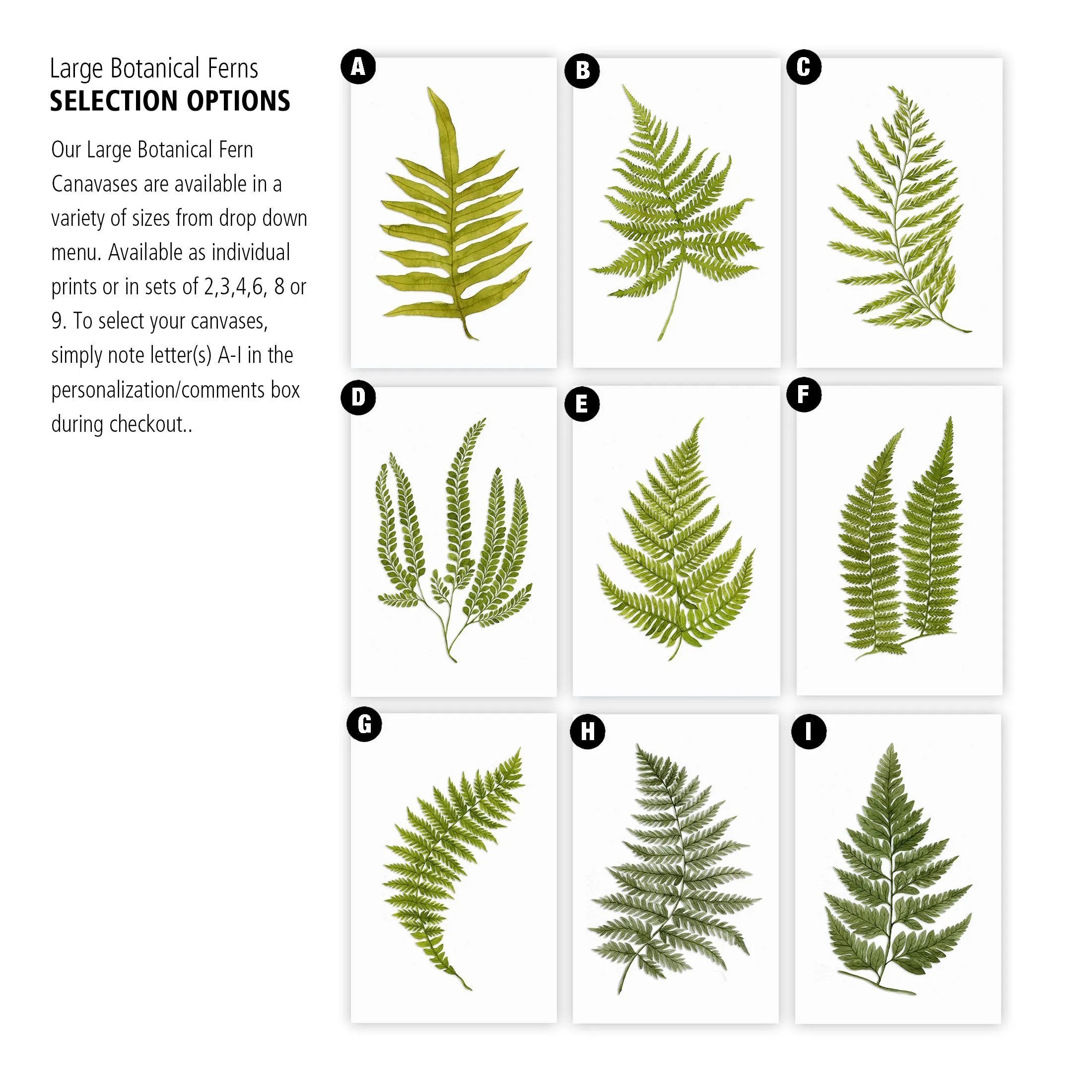 Large Botanical Fern Art on Canvas